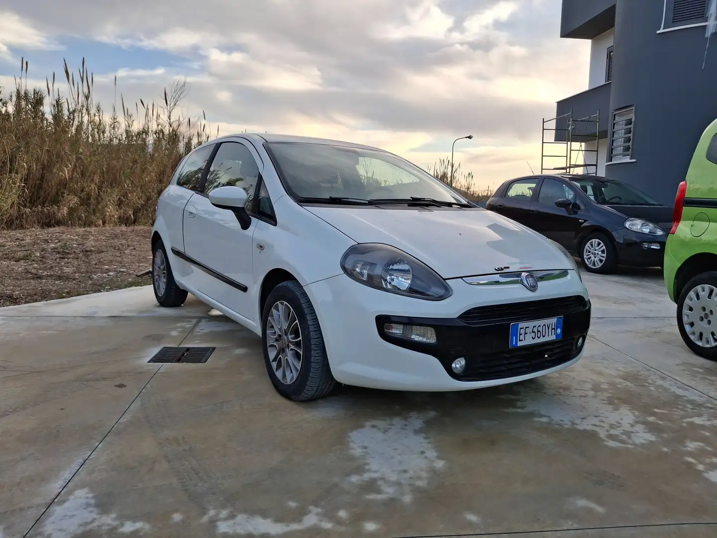 Fiat Punto Evo 3p 1.3 mjt Dynamic s Bianco - 2