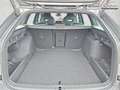Skoda Octavia Combi 1.5 TSI mHEV 110 kW Sportline eTSI DSG Ma... Grau - thumbnail 14