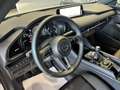 Mazda 3 2.5 e-Skyactiv-G Centre-line 103kW Blanco - thumbnail 15
