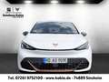 CUPRA Born Born 231PS 63kWh Blanco - thumbnail 5