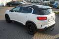 Citroen C5 Aircross BlueHDI 180 AT LED Navi SHZ Kam VC AHK Wit - thumbnail 10