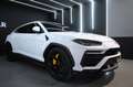 Lamborghini Urus Urus 4.0 V8 auto Bianco - thumbnail 1