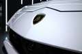 Lamborghini Urus Urus 4.0 V8 auto Bianco - thumbnail 6