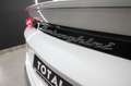 Lamborghini Urus Urus 4.0 V8 auto Bianco - thumbnail 11