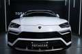 Lamborghini Urus Urus 4.0 V8 auto Bianco - thumbnail 3