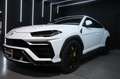 Lamborghini Urus Urus 4.0 V8 auto Bianco - thumbnail 7