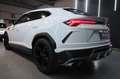 Lamborghini Urus Urus 4.0 V8 auto Bianco - thumbnail 8