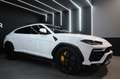 Lamborghini Urus Urus 4.0 V8 auto Bianco - thumbnail 2