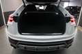 Lamborghini Urus Urus 4.0 V8 auto Bianco - thumbnail 13