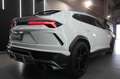 Lamborghini Urus Urus 4.0 V8 auto Bianco - thumbnail 9