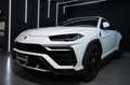 Lamborghini Urus Urus 4.0 V8 auto Bianco - thumbnail 4