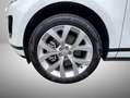 Land Rover Range Rover Evoque Evoque 2.0d i4 mhev S awd 150cv auto 163cv Weiß - thumbnail 9