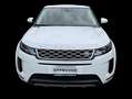 Land Rover Range Rover Evoque Evoque 2.0d i4 mhev S awd 150cv auto 163cv Weiß - thumbnail 7