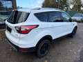 Ford Kuga 1.5 EcoBoost 2x4 Cool & Connect *Kamera*Bi-Xenon* Weiß - thumbnail 7