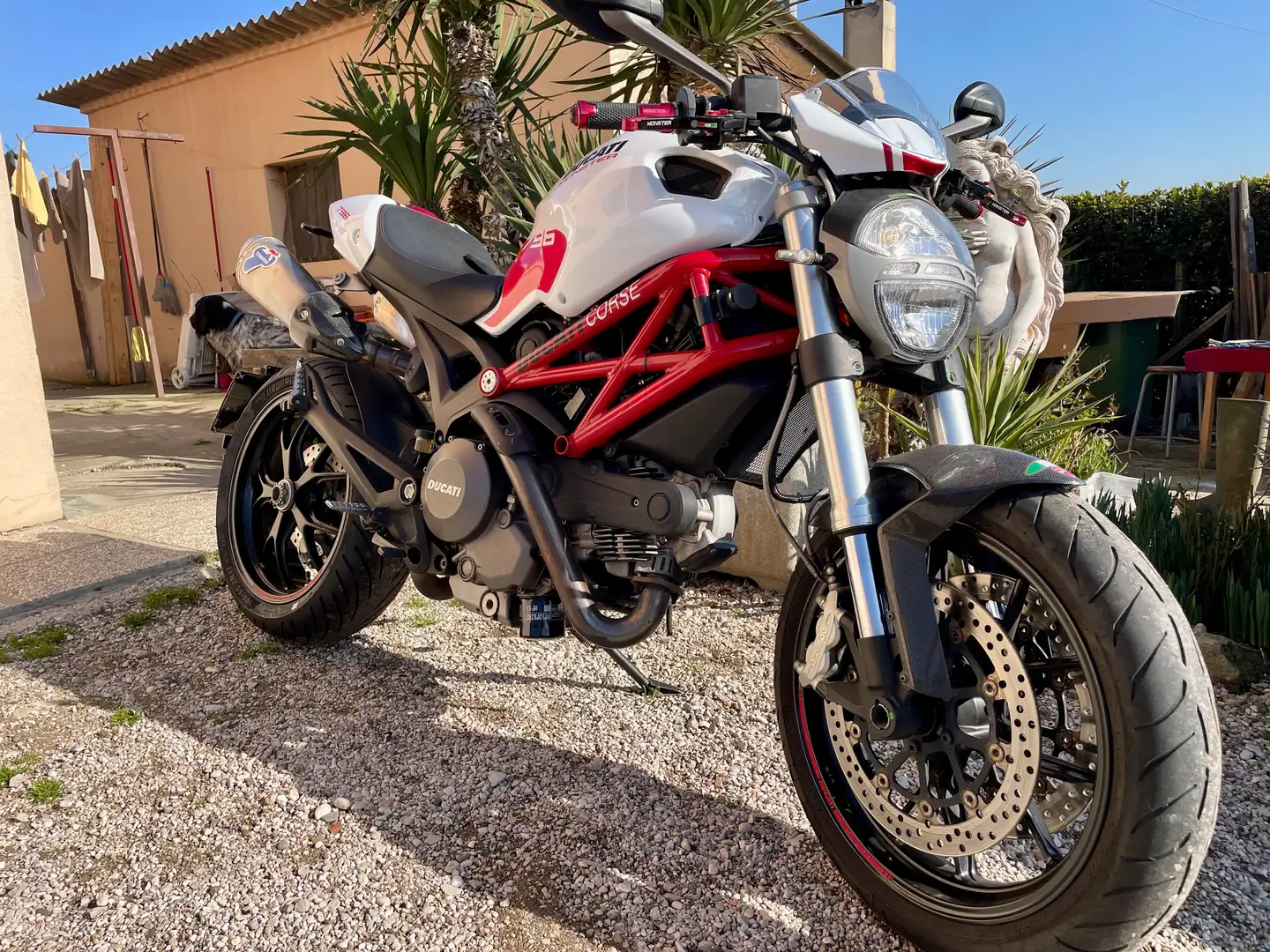 Ducati Monster 796 Blanco - 1
