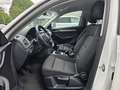 Audi Q3 basis 2.0 TDI quattro Weiß - thumbnail 13