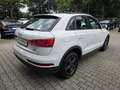 Audi Q3 basis 2.0 TDI quattro Weiß - thumbnail 4