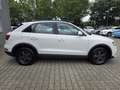 Audi Q3 basis 2.0 TDI quattro Weiß - thumbnail 8