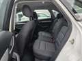 Audi Q3 basis 2.0 TDI quattro Weiß - thumbnail 27