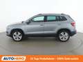 Skoda Karoq 1.6 TDI Style Limited Grau - thumbnail 3