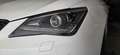 SEAT Ibiza 1,2 TSI FR / 8fach Alu / Sportpaket / Weiß - thumbnail 10