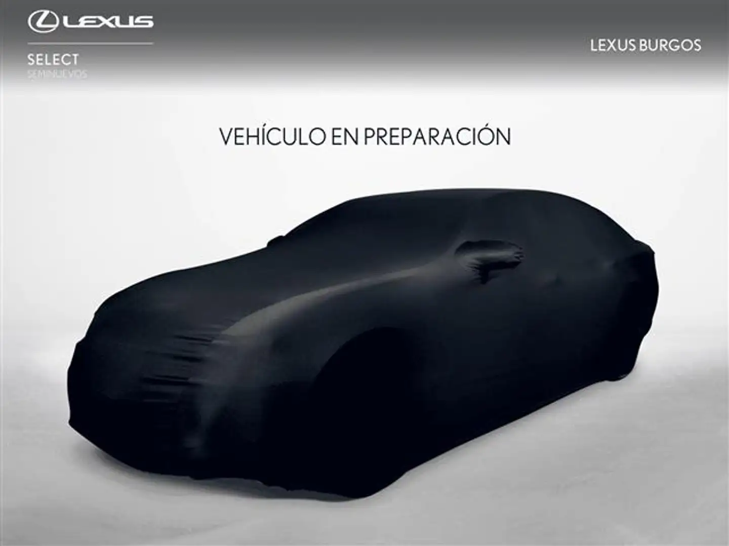 Lexus UX 300e Luxury - 2