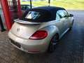 Volkswagen Beetle Cabrio mit 200 PS/DSG/18´´ Alu Beige - thumbnail 4