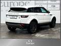 Land Rover Range Rover Evoque Pure 2,2 eD4 Weiß - thumbnail 5