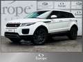 Land Rover Range Rover Evoque Pure 2,2 eD4 Weiß - thumbnail 2