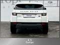 Land Rover Range Rover Evoque Pure 2,2 eD4 Weiß - thumbnail 4