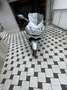 BMW K 1200 S Argent - thumbnail 3
