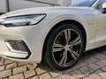 Volvo V60 Inscription T6 HuD, Pano, Harm/Kard, Mass, 19“2x Weiß - thumbnail 5