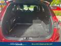 Ford Kuga ST-Line X 2.0 EcoBlue *** SUPER AUSSTATTUNG Eco... Rot - thumbnail 13