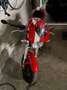 Ducati Monster S2R Monster S2R 1000 2008 Rojo - thumbnail 10