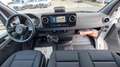 Mercedes-Benz Sprinter Sprinter 317 KA 36 HD Pro DAB Klima Standhzg Weiß - thumbnail 12