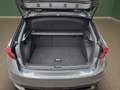 Skoda Fabia Monte Carlo/DSG/ACC/LED/ALU/mtl.139,- Grau - thumbnail 19
