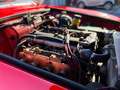 Alfa Romeo GT Alfa Romeo GT Junior Scalino 1969 *OFFERTA FLASH* Rojo - thumbnail 31