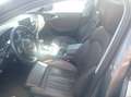 Audi A6 allroad 3.0 tdi Business c xeno 245cv s-tronic Bronze - thumbnail 14