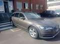 Audi A6 allroad 3.0 tdi Business c xeno 245cv s-tronic Bronze - thumbnail 2