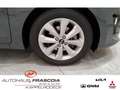 Kia Rio Vision 1.0 T-GDI Navi Rückfahrkam PDC hi.SHZ Apple Gris - thumbnail 14