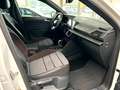 SEAT Tarraco Xcellence 2.0 TDI/BEATS/AHK/KAMERA/ACC Bianco - thumbnail 13