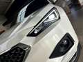 SEAT Tarraco Xcellence 2.0 TDI/BEATS/AHK/KAMERA/ACC Weiß - thumbnail 26