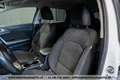 Kia Ceed SW / cee'd SW ceed SW 1,0 TGDI ISG GPF Silber*R-KAMERA*SHZ*LE... Weiß - thumbnail 15