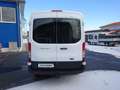 Ford Transit 350 L2 Trend Klima AHK Tempomat TÜV 11/27 Weiß - thumbnail 8