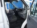 Ford Transit 350 L2 Trend Klima AHK Tempomat TÜV 11/27 Weiß - thumbnail 10