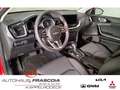 Kia Ceed SW / cee'd SW Spirit 1.5 T-GDI Navi LED PDC Rückfahrkam. Apple C Rot - thumbnail 10