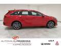 Kia Ceed SW / cee'd SW Spirit 1.5 T-GDI Navi LED PDC Rückfahrkam. Apple C Rot - thumbnail 4