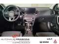 Kia Ceed SW / cee'd SW Spirit 1.5 T-GDI Navi LED PDC Rückfahrkam. Apple C Rot - thumbnail 9