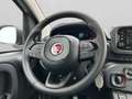 Fiat Panda 1.0 firefly hybrid s&s 70cv 5p.ti Bianco - thumbnail 11