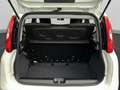 Fiat Panda 1.0 firefly hybrid s&s 70cv 5p.ti Bianco - thumbnail 8